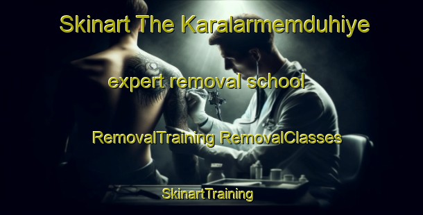 Skinart The Karalarmemduhiye expert removal school | #RemovalTraining #RemovalClasses #SkinartTraining-Turkey