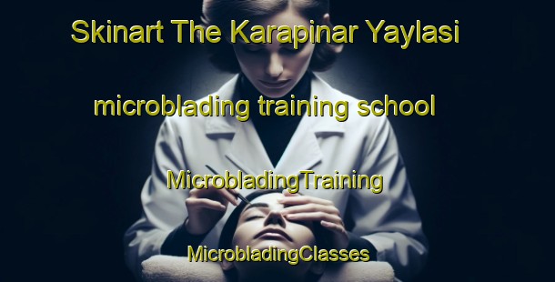 Skinart The Karapinar Yaylasi microblading training school | #MicrobladingTraining #MicrobladingClasses #SkinartTraining-Turkey