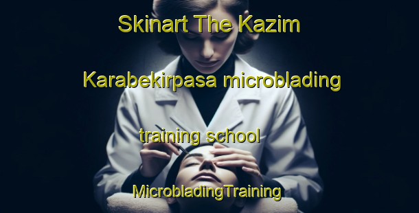 Skinart The Kazim Karabekirpasa microblading training school | #MicrobladingTraining #MicrobladingClasses #SkinartTraining-Turkey