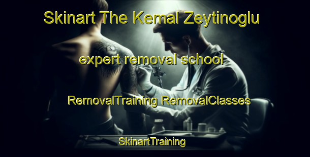 Skinart The Kemal Zeytinoglu expert removal school | #RemovalTraining #RemovalClasses #SkinartTraining-Turkey