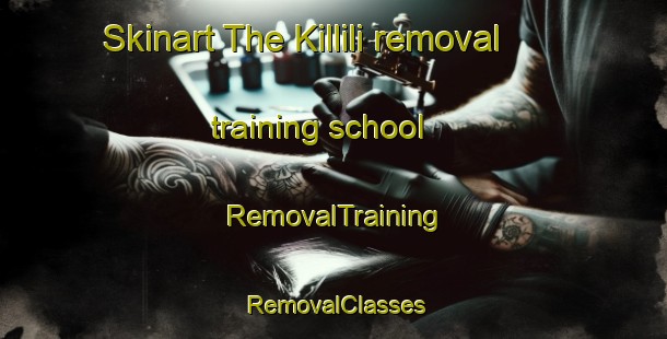 Skinart The Killili removal training school | RemovalTraining | RemovalClasses | SkinartTraining-Turkey