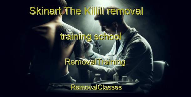 Skinart The Killili removal training school | RemovalTraining | RemovalClasses | SkinartTraining-Turkey