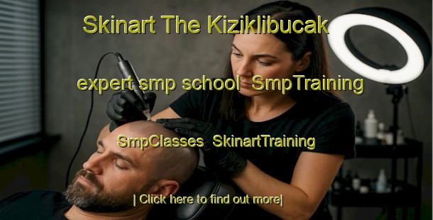 Skinart The Kiziklibucak expert smp school | SmpTraining | SmpClasses | SkinartTraining-Turkey