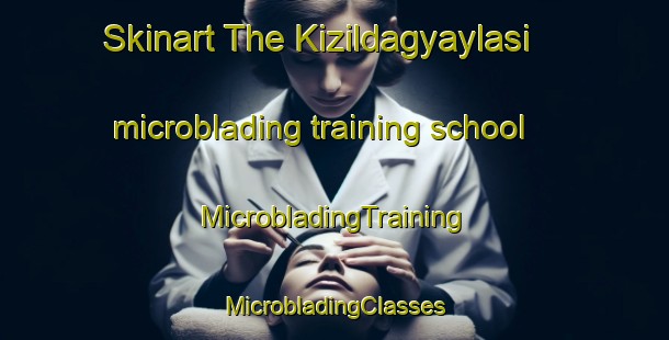 Skinart The Kizildagyaylasi microblading training school | #MicrobladingTraining #MicrobladingClasses #SkinartTraining-Turkey