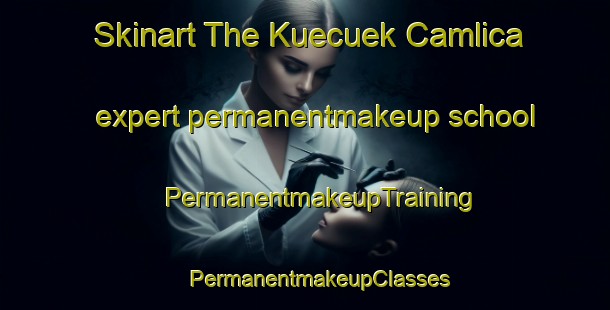 Skinart The Kuecuek Camlica expert permanentmakeup school | #PermanentmakeupTraining #PermanentmakeupClasses #SkinartTraining-Turkey