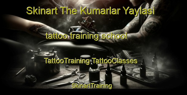 Skinart The Kumarlar Yaylasi tattoo training school | #TattooTraining #TattooClasses #SkinartTraining-Turkey