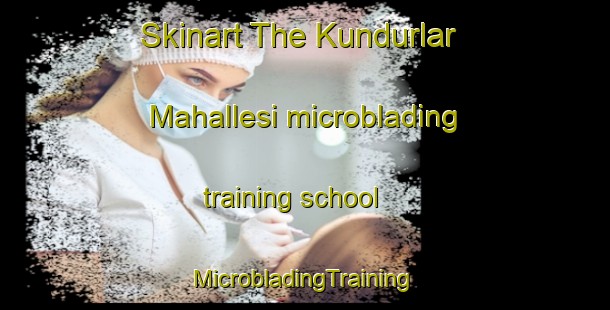 Skinart The Kundurlar Mahallesi microblading training school | #MicrobladingTraining #MicrobladingClasses #SkinartTraining-Turkey