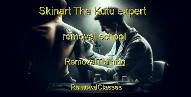 Skinart The Kutu expert removal school | RemovalTraining | RemovalClasses | SkinartTraining-Turkey