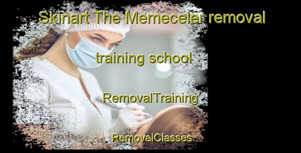 Skinart The Memeceler removal training school | RemovalTraining | RemovalClasses | SkinartTraining-Turkey