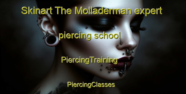 Skinart The Molladerman expert piercing school | PiercingTraining | PiercingClasses | SkinartTraining-Turkey
