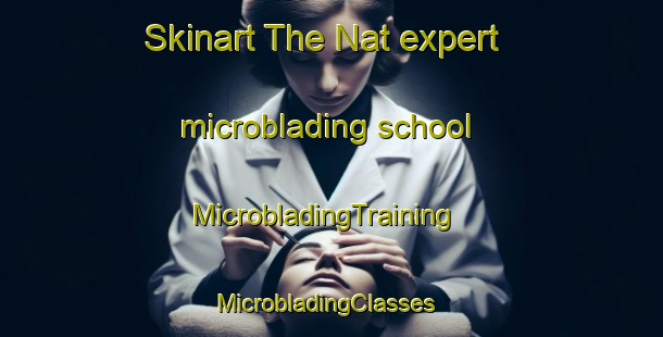 Skinart The Nat expert microblading school | MicrobladingTraining | MicrobladingClasses | SkinartTraining-Turkey