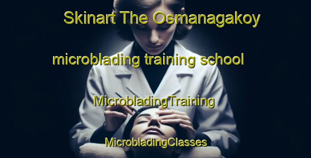 Skinart The Osmanagakoy microblading training school | #MicrobladingTraining #MicrobladingClasses #SkinartTraining-Turkey