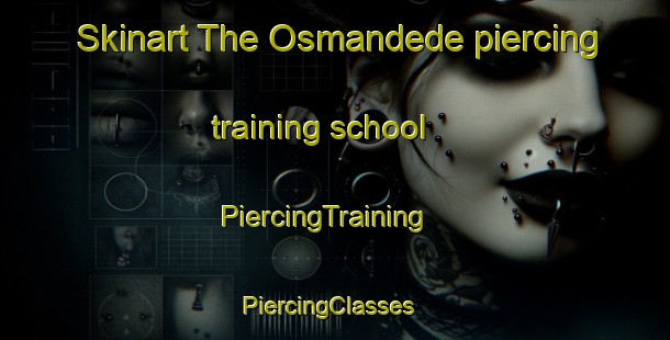 Skinart The Osmandede piercing training school | PiercingTraining | PiercingClasses | SkinartTraining-Turkey