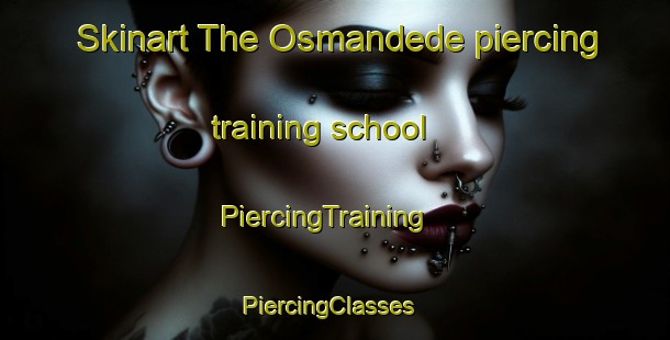 Skinart The Osmandede piercing training school | PiercingTraining | PiercingClasses | SkinartTraining-Turkey