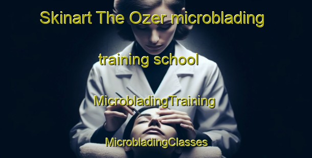 Skinart The Ozer microblading training school | #MicrobladingTraining #MicrobladingClasses #SkinartTraining-Turkey