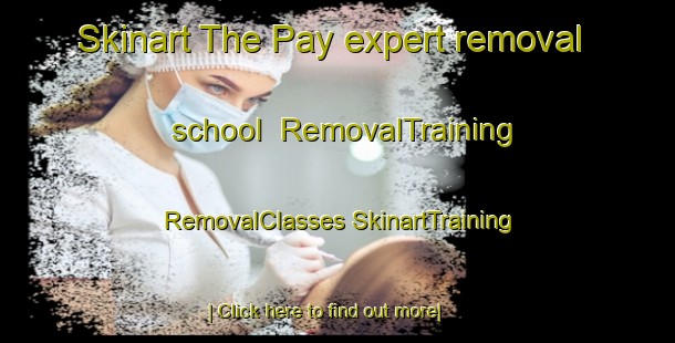 Skinart The Pay expert removal school | #RemovalTraining #RemovalClasses #SkinartTraining-Turkey