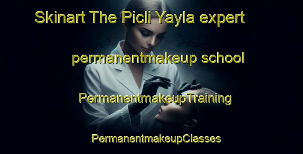 Skinart The Picli Yayla expert permanentmakeup school | PermanentmakeupTraining | PermanentmakeupClasses | SkinartTraining-Turkey