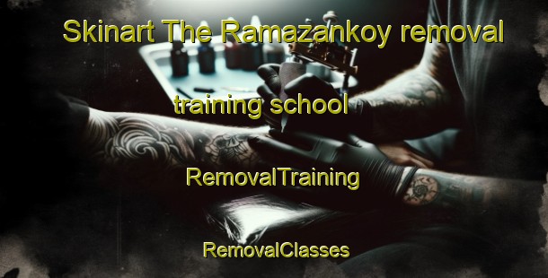 Skinart The Ramazankoy removal training school | RemovalTraining | RemovalClasses | SkinartTraining-Turkey
