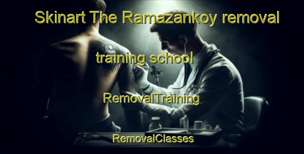 Skinart The Ramazankoy removal training school | RemovalTraining | RemovalClasses | SkinartTraining-Turkey
