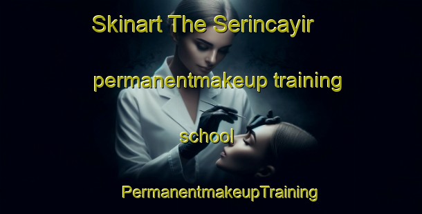 Skinart The Serincayir permanentmakeup training school | #PermanentmakeupTraining #PermanentmakeupClasses #SkinartTraining-Turkey