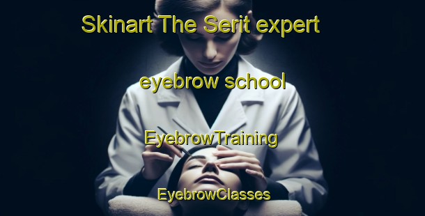 Skinart The Serit expert eyebrow school | EyebrowTraining | EyebrowClasses | SkinartTraining-Turkey