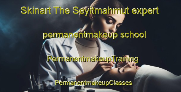 Skinart The Seyitmahmut expert permanentmakeup school | PermanentmakeupTraining | PermanentmakeupClasses | SkinartTraining-Turkey