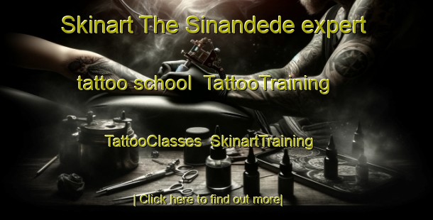 Skinart The Sinandede expert tattoo school | TattooTraining | TattooClasses | SkinartTraining-Turkey
