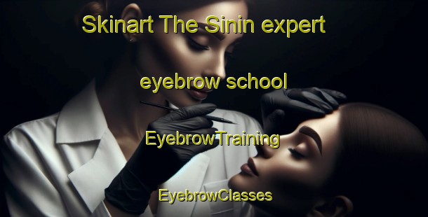 Skinart The Sinin expert eyebrow school | EyebrowTraining | EyebrowClasses | SkinartTraining-Turkey