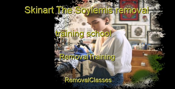 Skinart The Soylemis removal training school | RemovalTraining | RemovalClasses | SkinartTraining-Turkey