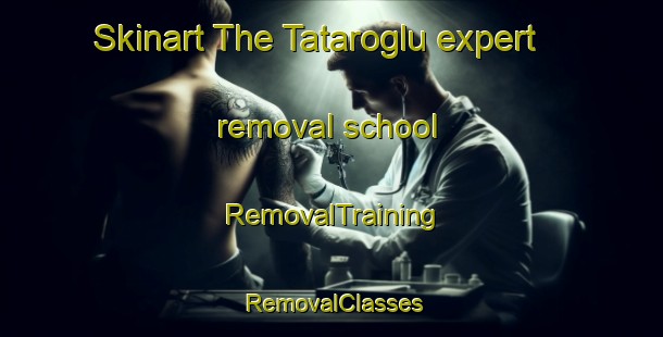 Skinart The Tataroglu expert removal school | RemovalTraining | RemovalClasses | SkinartTraining-Turkey