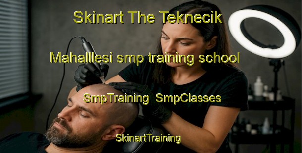 Skinart The Teknecik Mahalllesi smp training school | SmpTraining | SmpClasses | SkinartTraining-Turkey