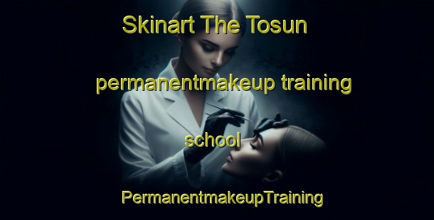 Skinart The Tosun permanentmakeup training school | PermanentmakeupTraining | PermanentmakeupClasses | SkinartTraining-Turkey