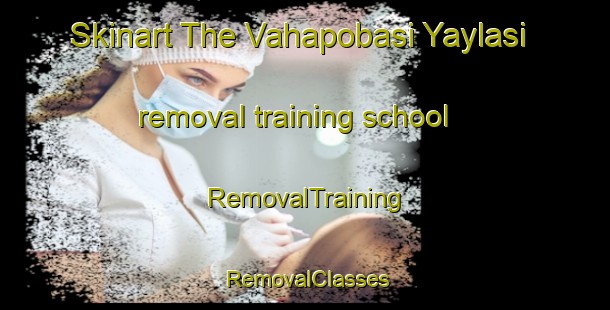 Skinart The Vahapobasi Yaylasi removal training school | RemovalTraining | RemovalClasses | SkinartTraining-Turkey