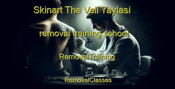 Skinart The Veli Yaylasi removal training school | RemovalTraining | RemovalClasses | SkinartTraining-Turkey