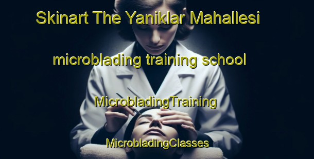 Skinart The Yaniklar Mahallesi microblading training school | #MicrobladingTraining #MicrobladingClasses #SkinartTraining-Turkey