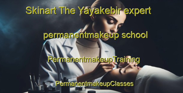 Skinart The Yayakebir expert permanentmakeup school | PermanentmakeupTraining | PermanentmakeupClasses | SkinartTraining-Turkey