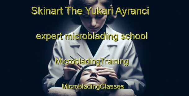 Skinart The Yukari Ayranci expert microblading school | MicrobladingTraining | MicrobladingClasses | SkinartTraining-Turkey