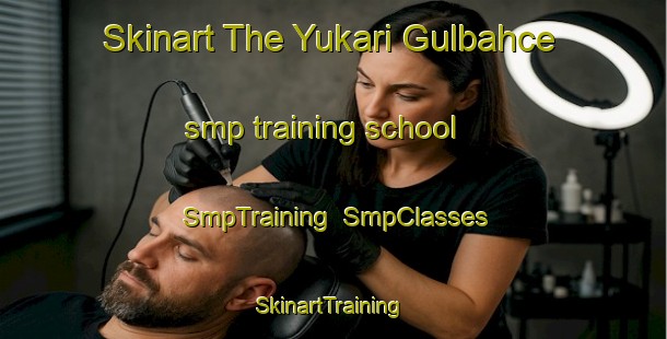 Skinart The Yukari Gulbahce smp training school | SmpTraining | SmpClasses | SkinartTraining-Turkey
