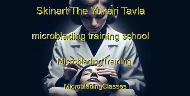 Skinart The Yukari Tavla microblading training school | #MicrobladingTraining #MicrobladingClasses #SkinartTraining-Turkey