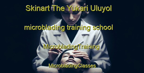 Skinart The Yukari Uluyol microblading training school | #MicrobladingTraining #MicrobladingClasses #SkinartTraining-Turkey