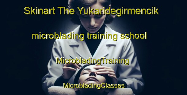 Skinart The Yukaridegirmencik microblading training school | #MicrobladingTraining #MicrobladingClasses #SkinartTraining-Turkey