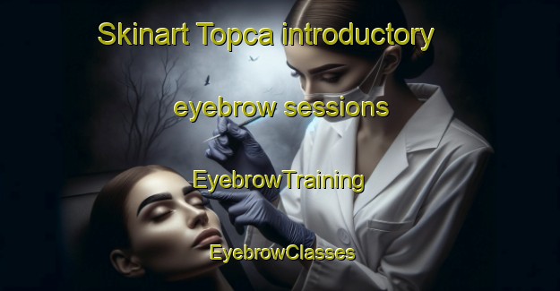 Skinart Topca introductory eyebrow sessions | EyebrowTraining | EyebrowClasses | SkinartTraining-Turkey