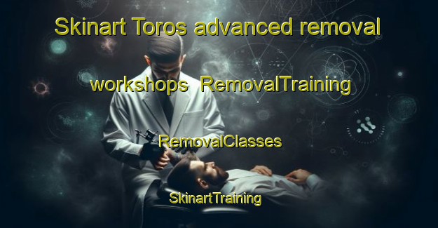 Skinart Toros advanced removal workshops | RemovalTraining | RemovalClasses | SkinartTraining-Turkey