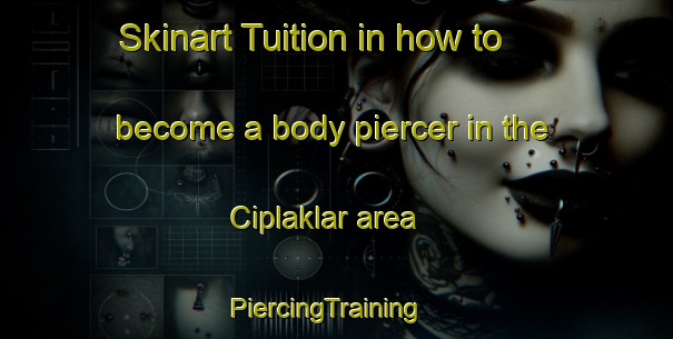 Skinart Tuition in how to become a body piercer in the Ciplaklar area | PiercingTraining | PiercingClasses | SkinartTraining-Turkey