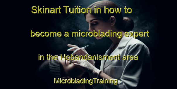 Skinart Tuition in how to become a microblading expert in the Hobandanisment area | MicrobladingTraining | MicrobladingClasses | SkinartTraining-Turkey