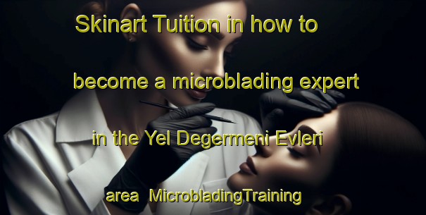 Skinart Tuition in how to become a microblading expert in the Yel Degermeni Evleri area | MicrobladingTraining | MicrobladingClasses | SkinartTraining-Turkey