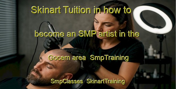 Skinart Tuition in how to become an SMP artist in the Gocem area | SmpTraining | SmpClasses | SkinartTraining-Turkey