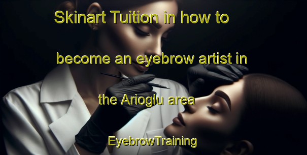 Skinart Tuition in how to become an eyebrow artist in the Arioglu area | EyebrowTraining | EyebrowClasses | SkinartTraining-Turkey