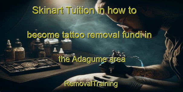 Skinart Tuition in how to become tattoo removal fundi in the Adagume area | RemovalTraining | RemovalClasses | SkinartTraining-Turkey