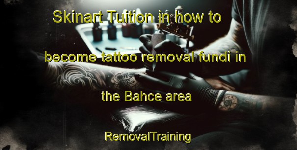 Skinart Tuition in how to become tattoo removal fundi in the Bahce area | RemovalTraining | RemovalClasses | SkinartTraining-Turkey